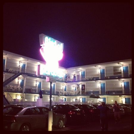 Bird Of Paradise Motel North Wildwood Eksteriør billede