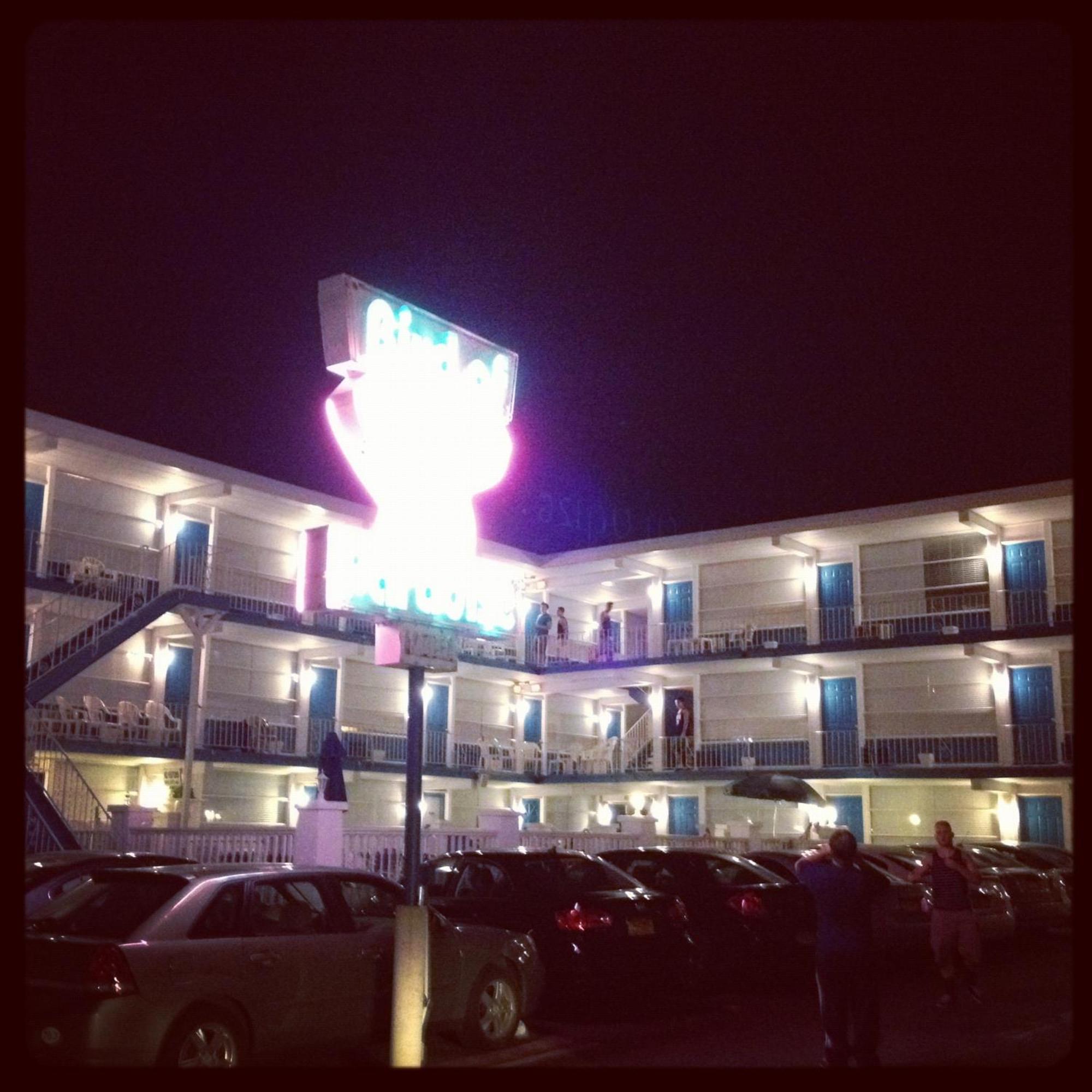 Bird Of Paradise Motel North Wildwood Eksteriør billede