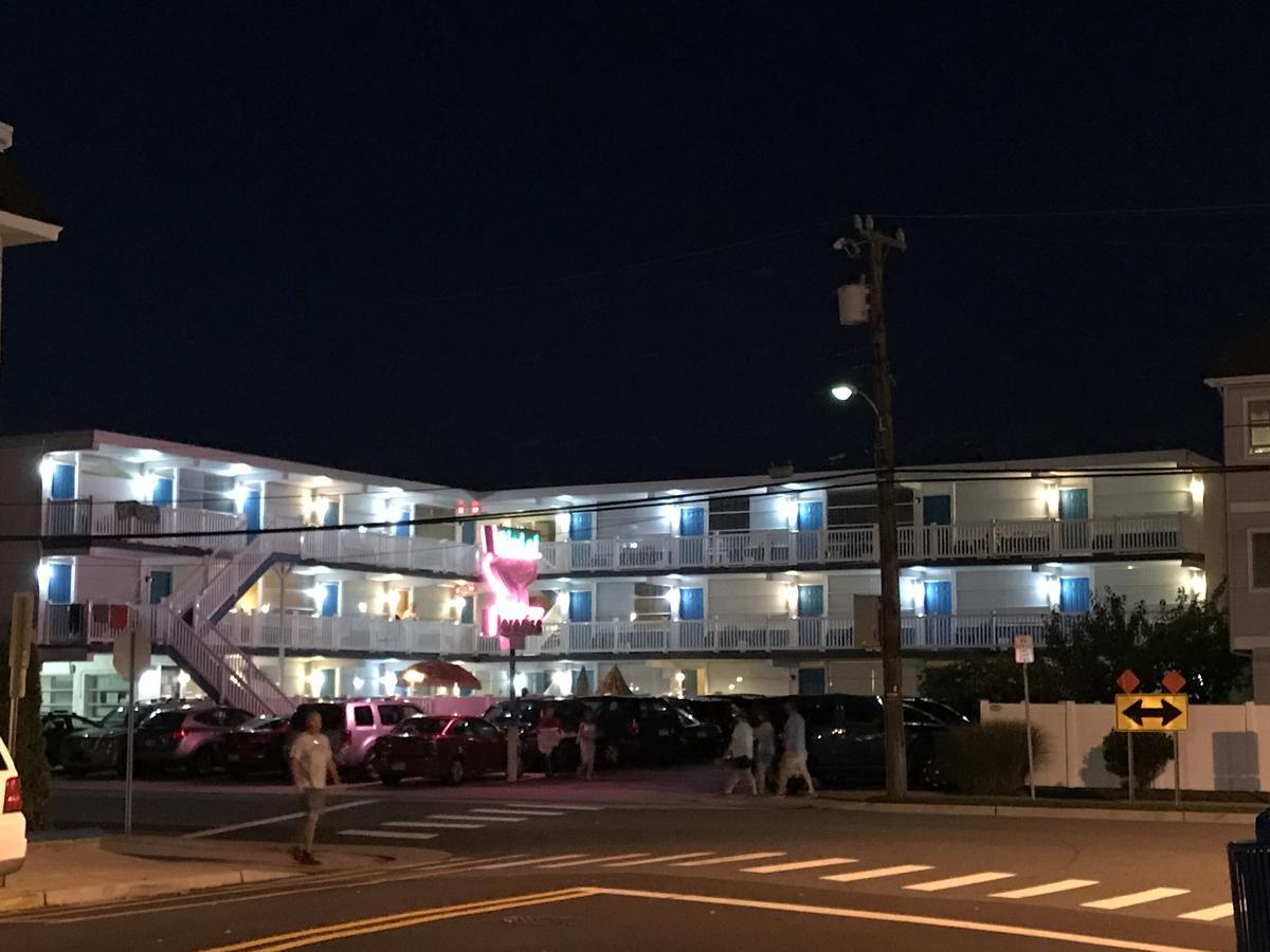 Bird Of Paradise Motel North Wildwood Eksteriør billede